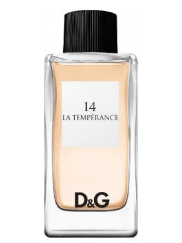 DECANT DE DOLCE GABANNA LA TEMPERANCE