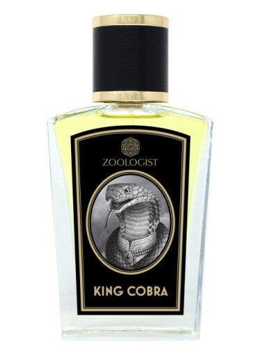 DECANT DE ZOOLOGIST KING COBRA