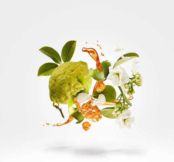 61qttuHBmRL._AC_SL1200_.jpg